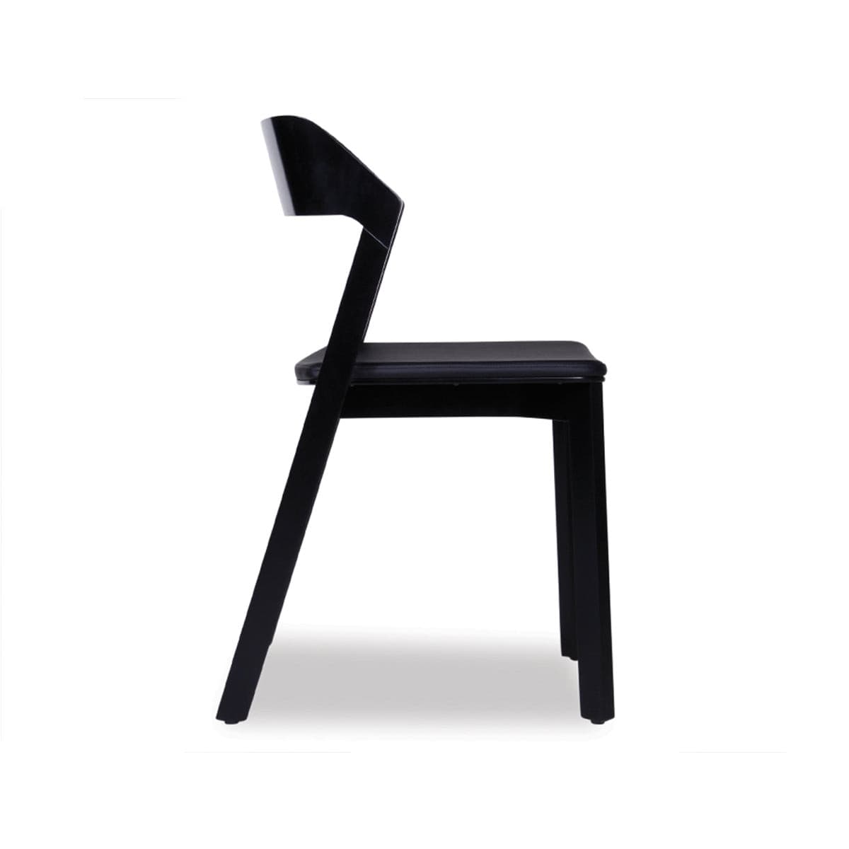 Merano Chair (Black Stained/Black Pad).