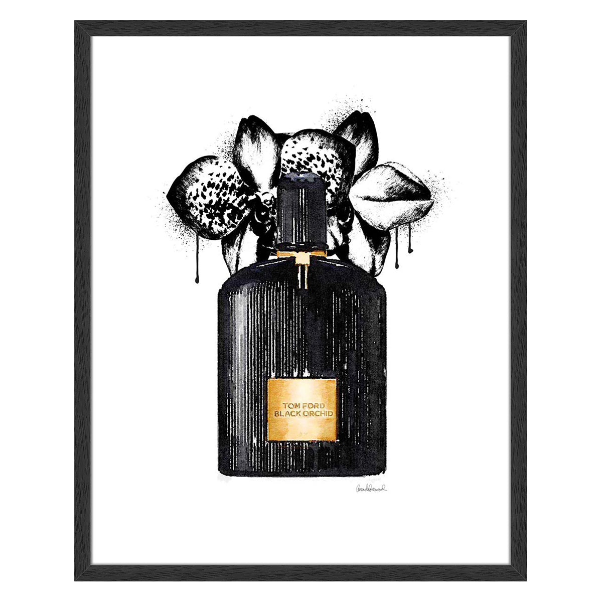 Noir Perfume Orchid.