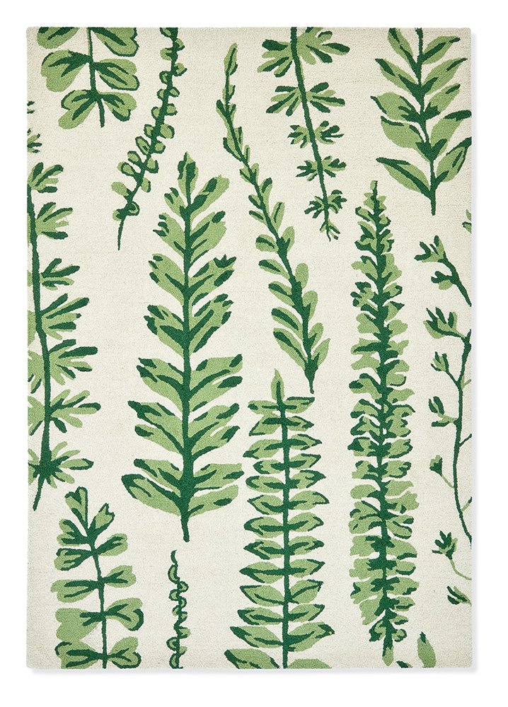 Ferns - Juniper - 125907