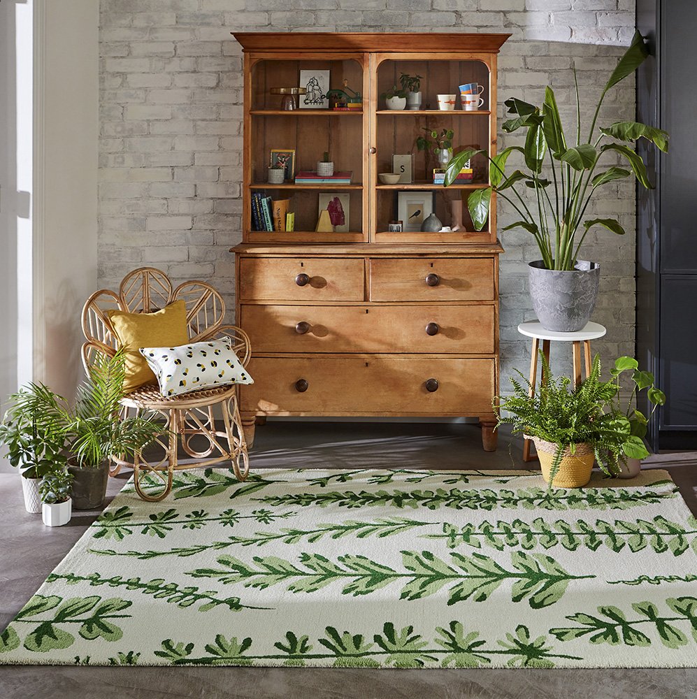 Ferns - Juniper - 125907