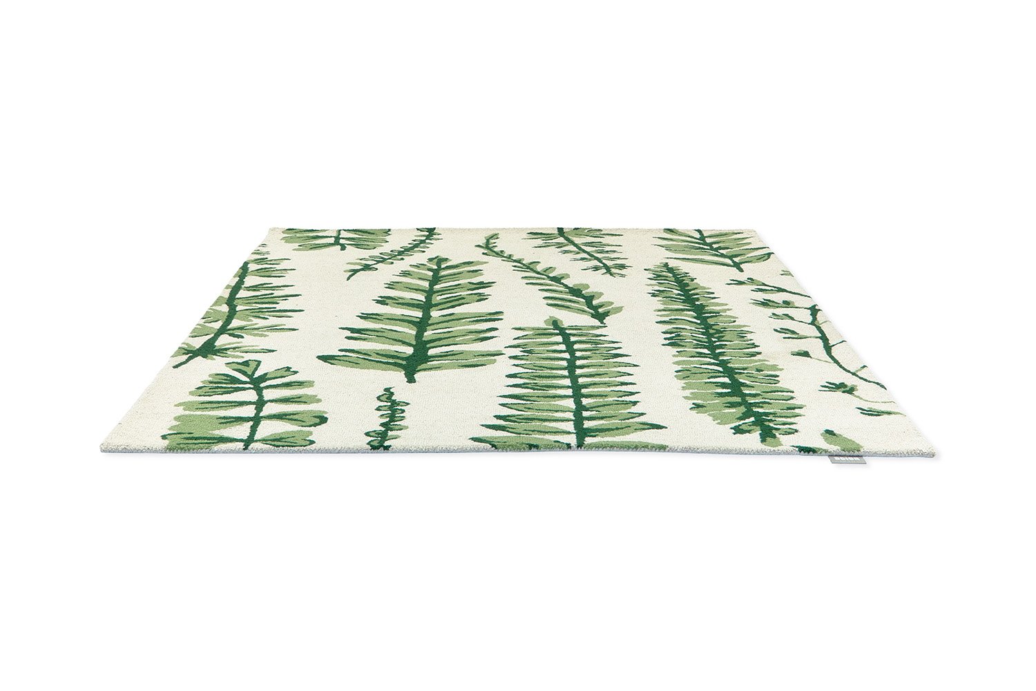 Ferns - Juniper - 125907