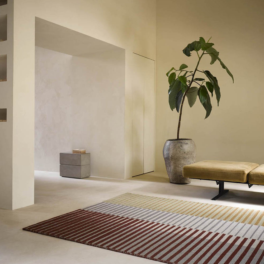 Artisan Focus (Dawn).