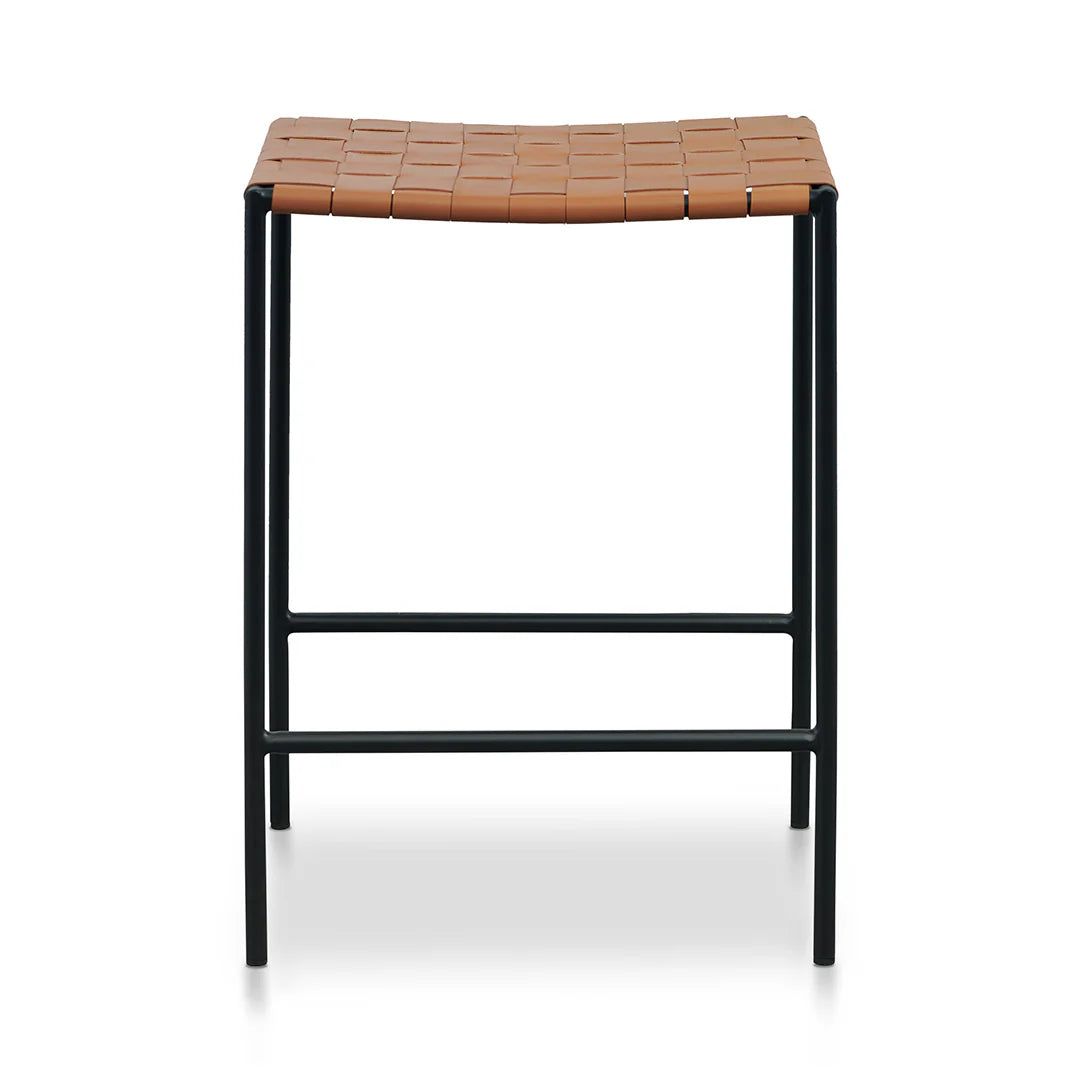 Anika Counter Stool - Set of 2