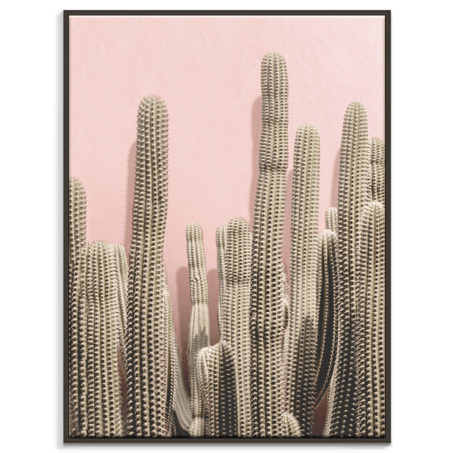 Cactus 2.