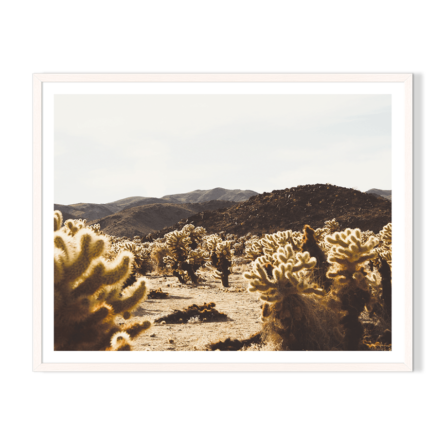 Desert Landscape.